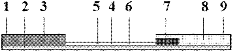 Immune colloidal gold test strip for simultaneously carrying out residue detection and analysis on Tylosin and Tilmicosin and preparation method thereof