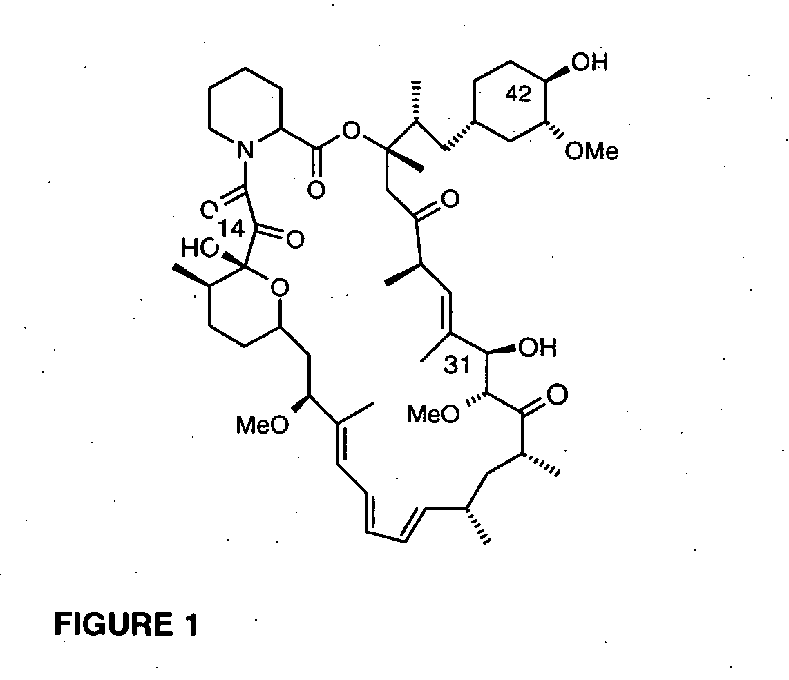 Epimers and isomers of tetrazole containing rapamycin analogs, methods of making and using the same