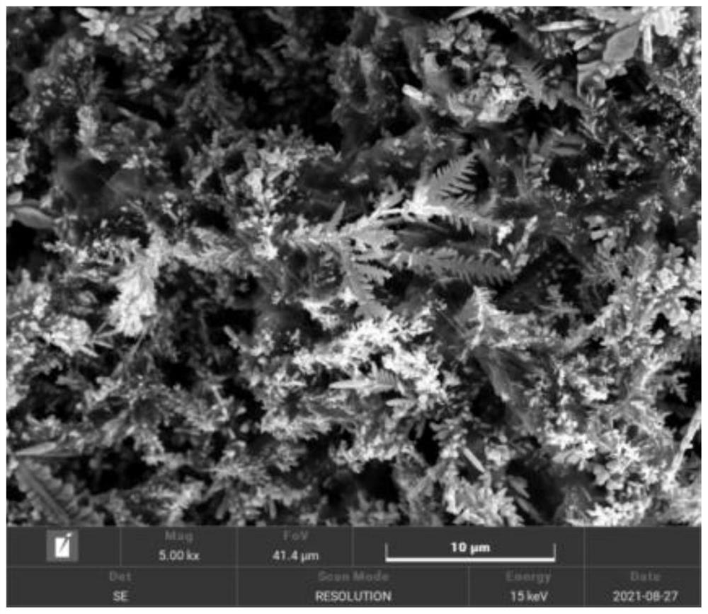 Preparation method for electronic-grade high-purity low-apparent-density dendritic copper powder