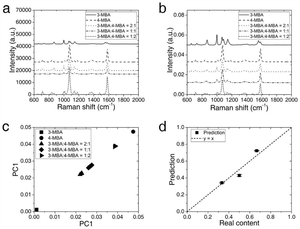 Quantitative analysis model and method based on normalized surface-enhanced Raman scattering technology