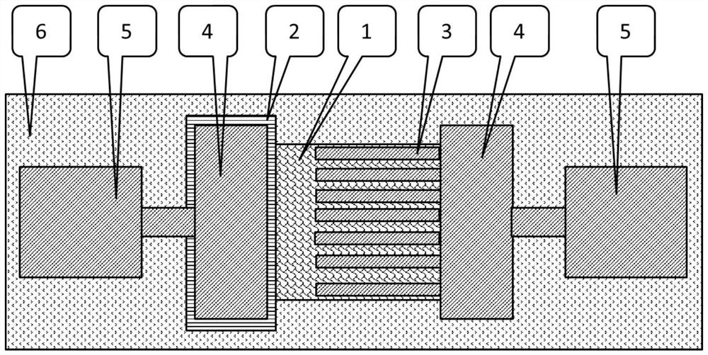 Asymmetric induced room-temperature high-sensitivity photoelectric detection device and preparation method thereof