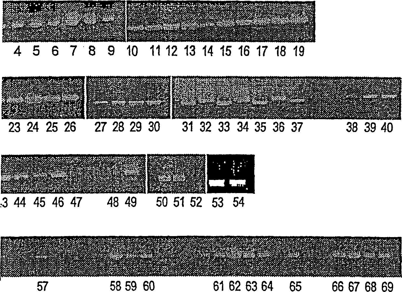 Cell isolation method