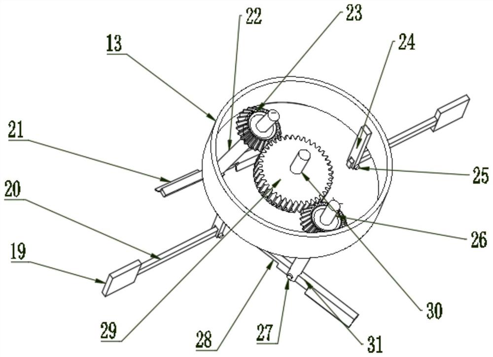 Rice impurity removing device