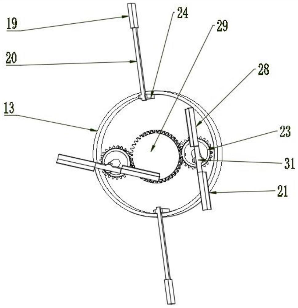 Rice impurity removing device