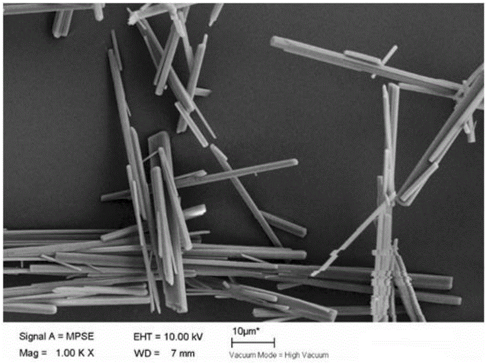 Method for preparing nesquehonite whiskers and nano flaky basic magnesium carbonate