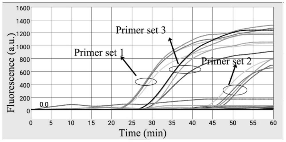 Primer combination and kit for identifying African swine fever virus gene deletion strain and African swine fever epidemic strain through centrifugal microfluidic chip