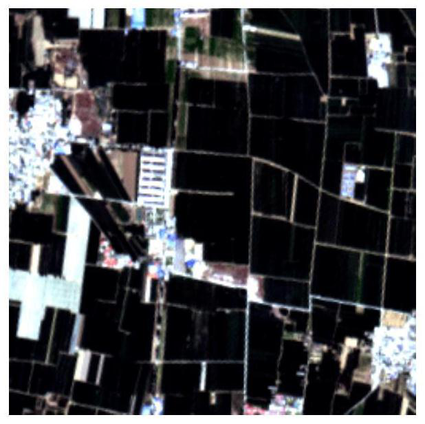 Winter wheat planting area image extraction method combining GF-6 and Sentinel-2