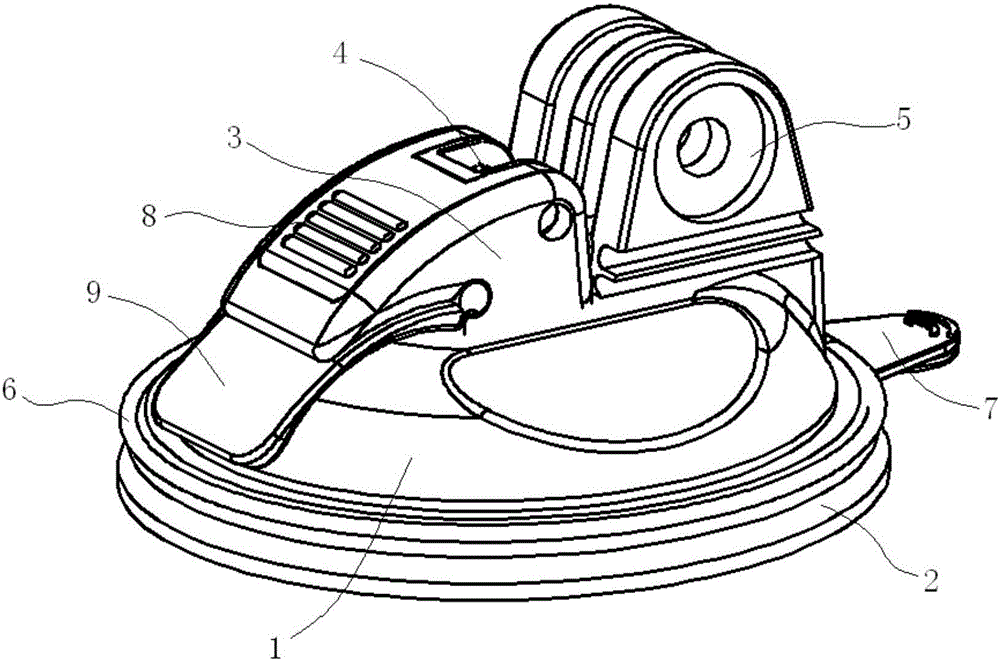 Base with sucker and support