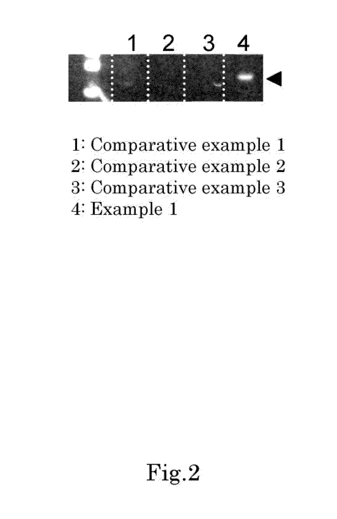 Method for identifying olfactory receptor included in one olfactory cell