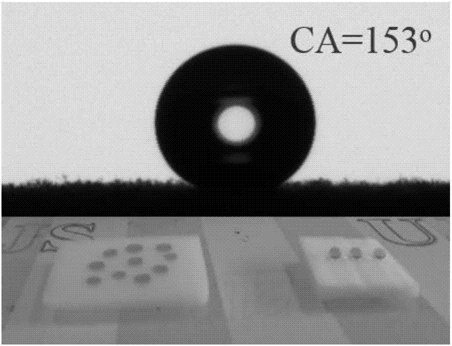 Making method and use of silica constructed superhydrophobic melamine sponge