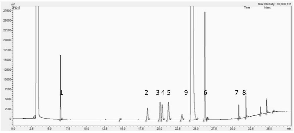 Method for detecting related substances of 2, 3-dimethyl bromobenzene