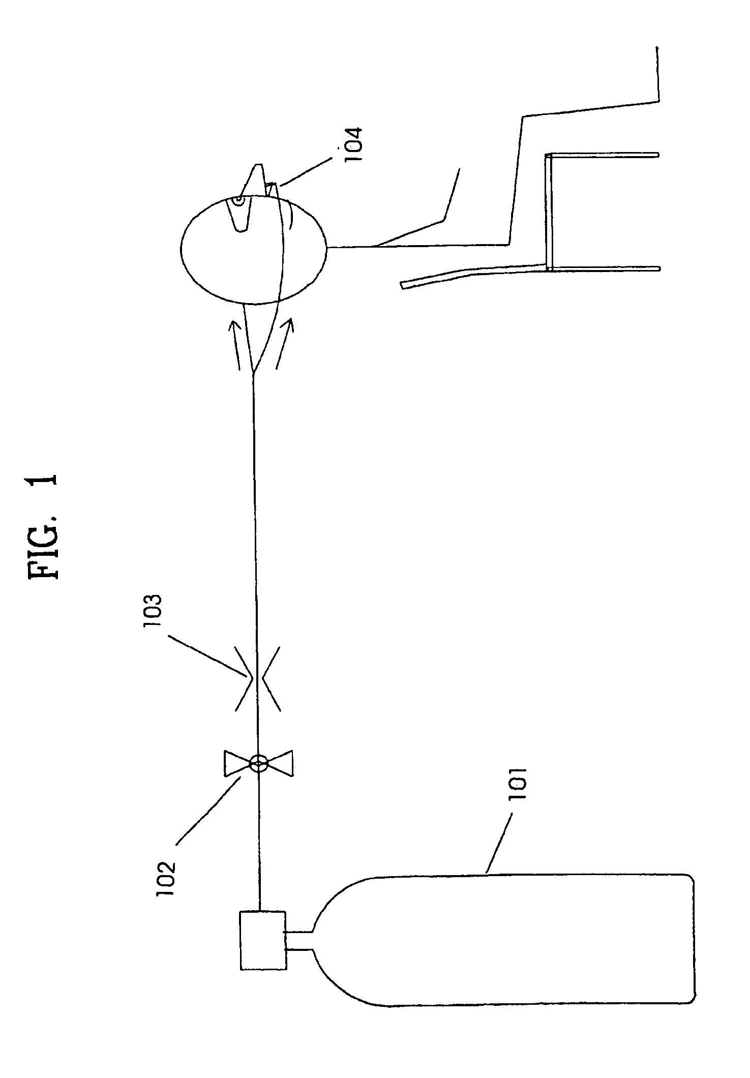 System for providing protection from reactive oxygen species