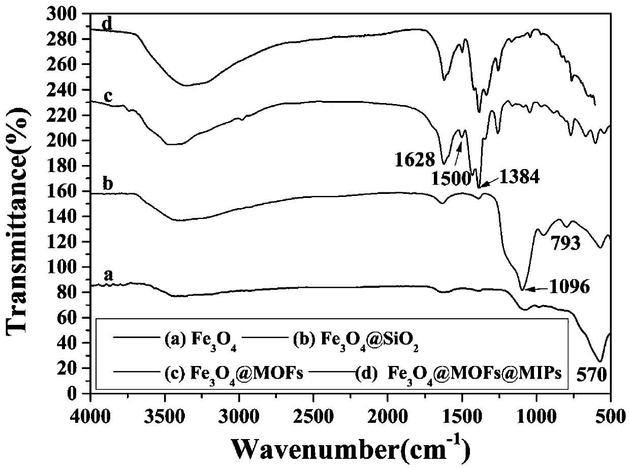 Construction and application of novel fluorescent imprinting sensor based on magnetic metal organic framework (MOF)