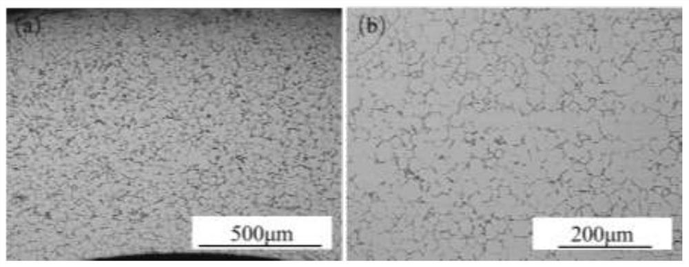 Rod-needle separated magnesium alloy slim tube preparation device and method