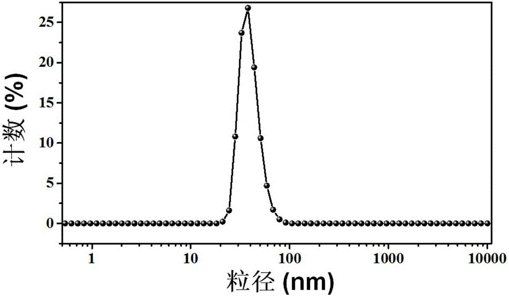 Zinc oxide-based nano-drug composition, and preparation method and application thereof