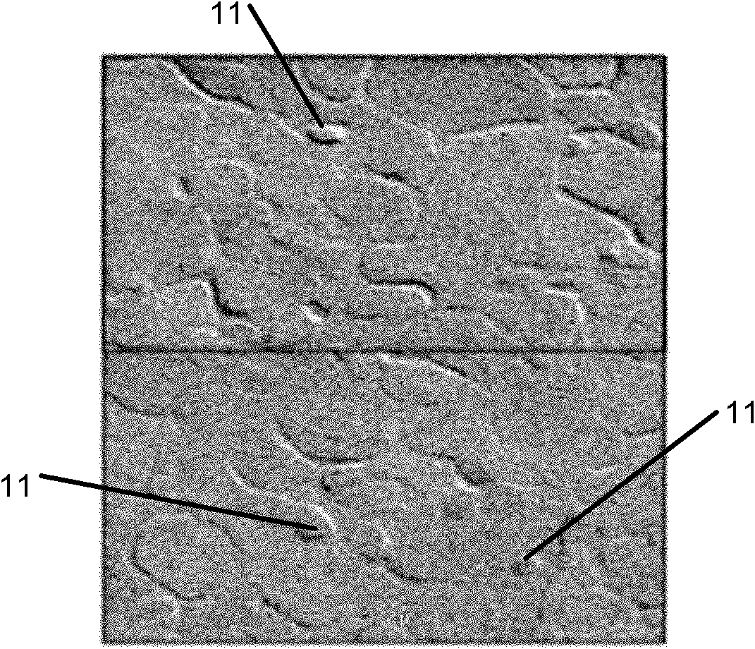 Method for preparing lower electrode of metal-insulator-metal semiconductor device