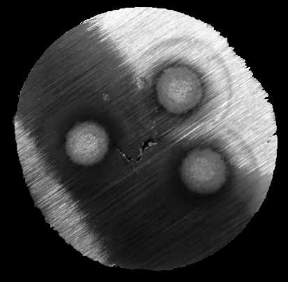 Manufacturing method of high manganese steel spectrum standard sample