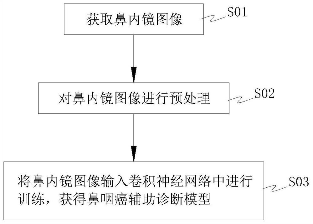 Nasopharyngeal carcinoma auxiliary diagnosis model construction and auxiliary diagnosis method and system