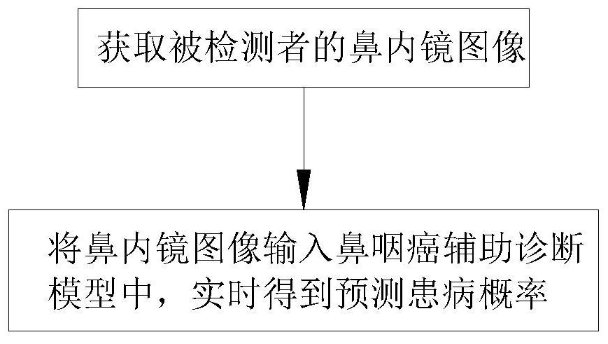 Nasopharyngeal carcinoma auxiliary diagnosis model construction and auxiliary diagnosis method and system