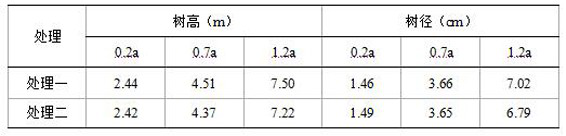 Controlled-release eucalyptus herbicide-fertilizer granules and preparation method thereof