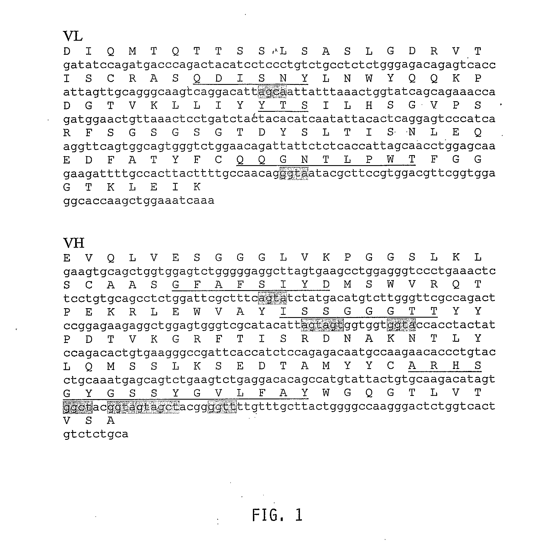 Mutated anti-cd22 antibodies and immunoconjugates