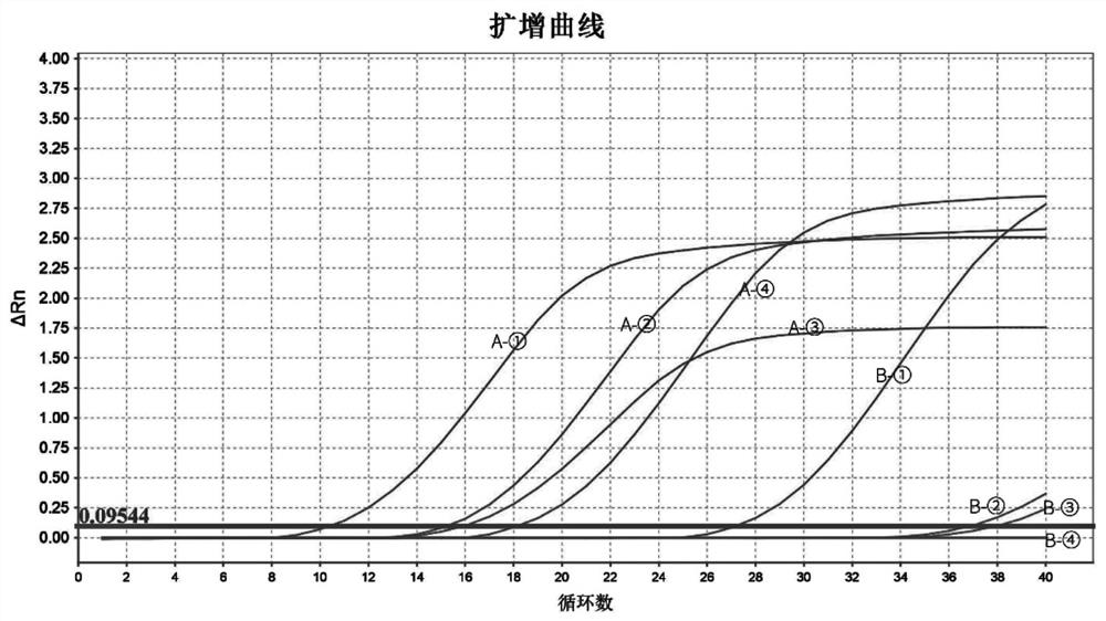 Primer, kit and identification method for identifying bacillus amyloliquefaciens in yeast for making hard liquor