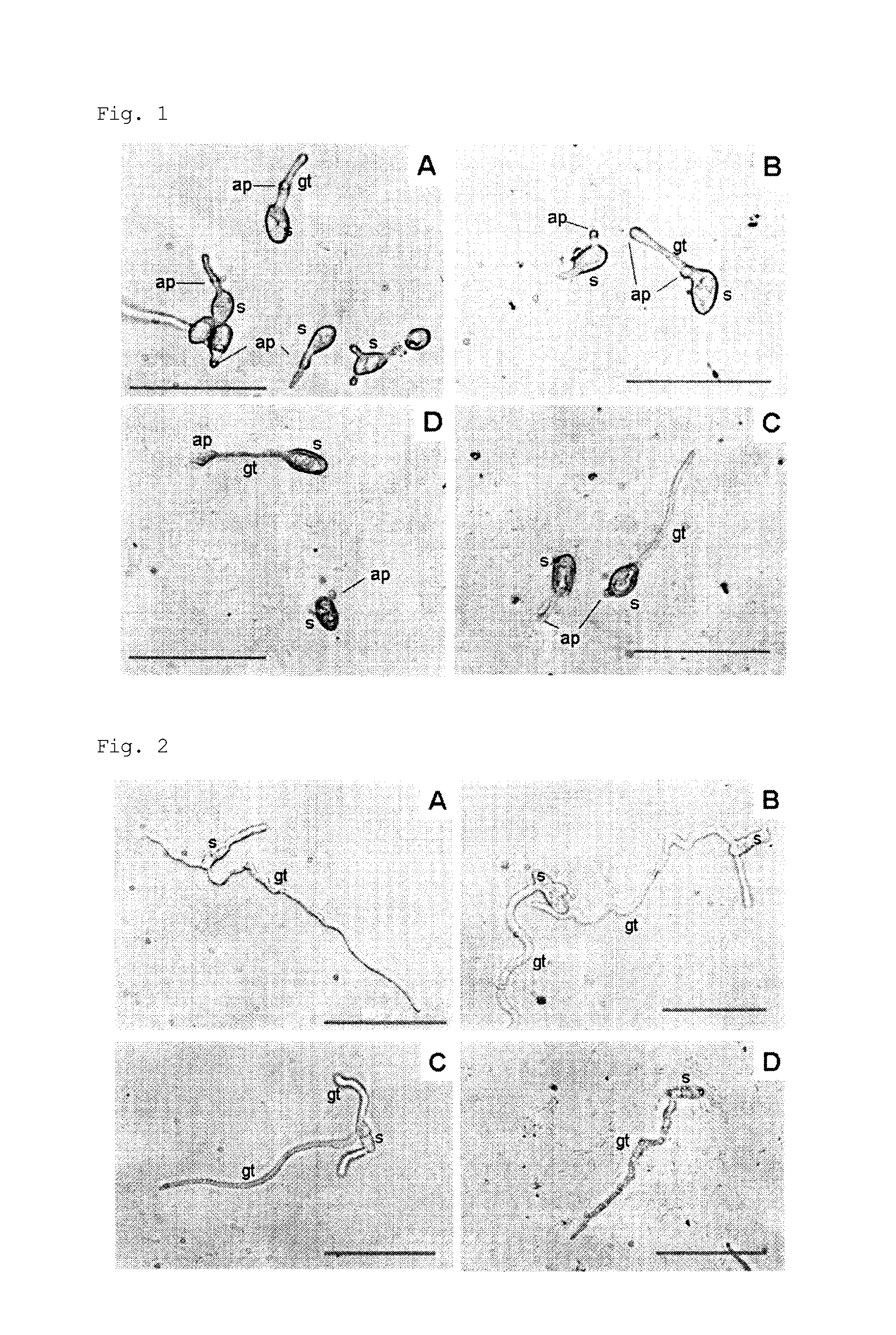 Plant protection agent and method for controlling plant disease