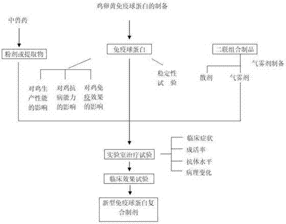 Preparation method of composite preparation for preventing and treating poultry respiratory diseases