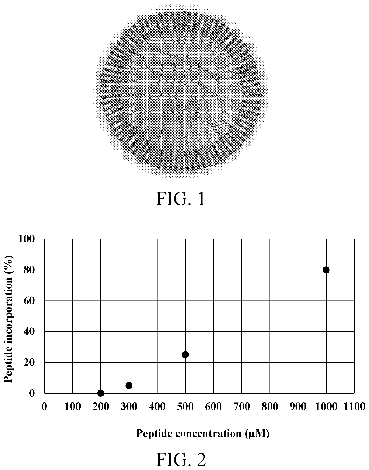 Lipid encasing amphipathic peptides