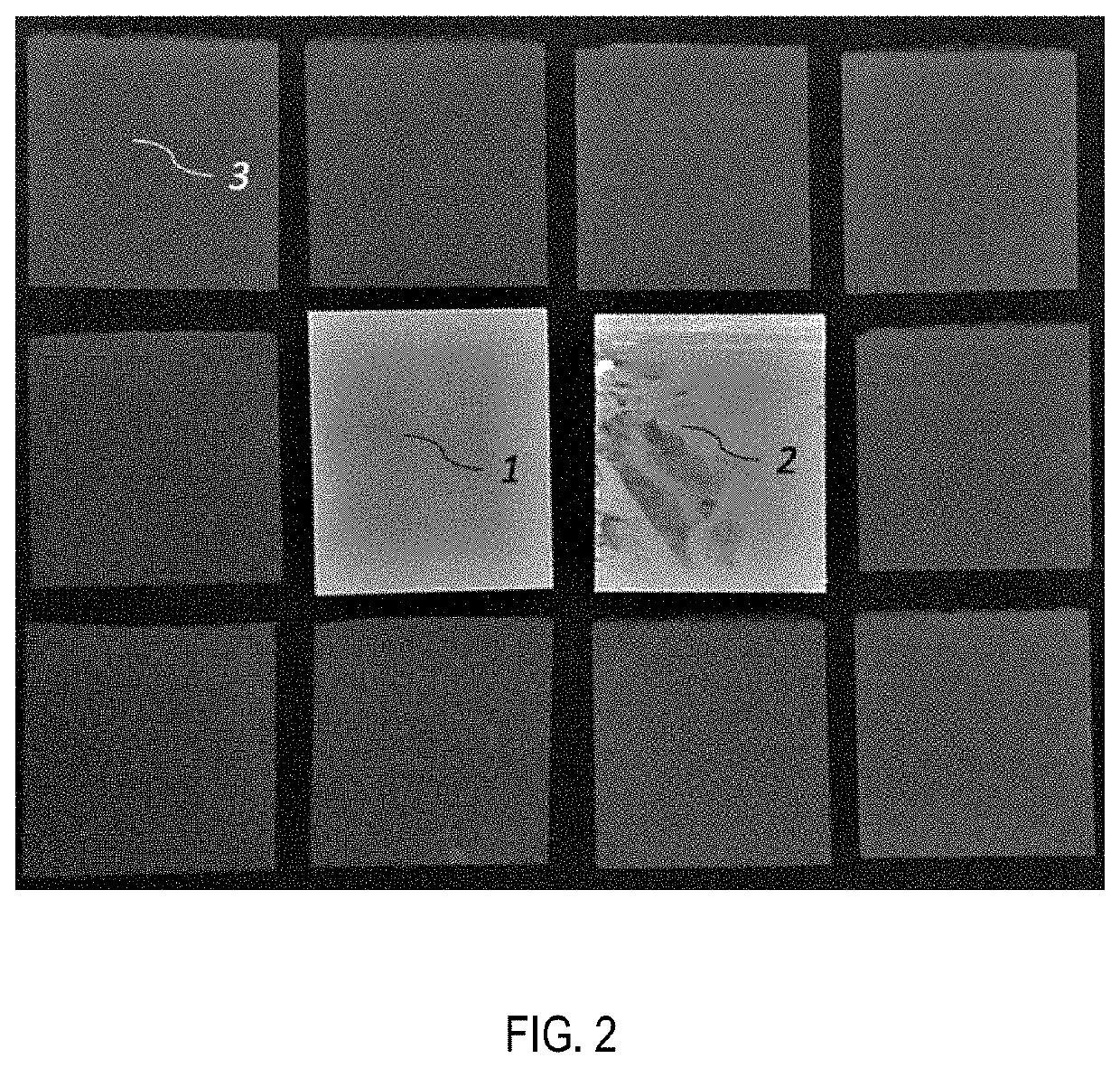 Nano-porous anodic aluminum oxide membrane for healthcare and biotechnology