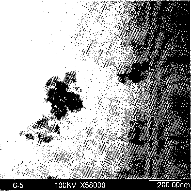 Stephanoporate zinc oxide nano-powder and preparation method thereof