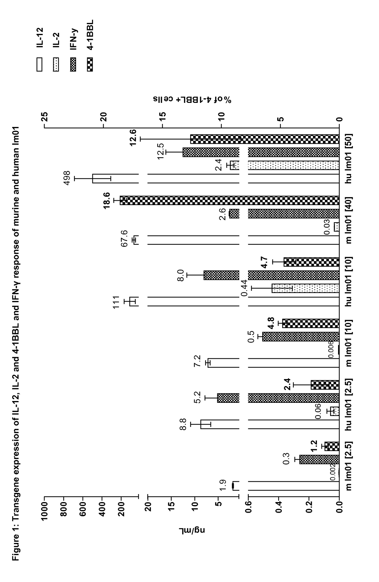 Novel immunostimulating vector system