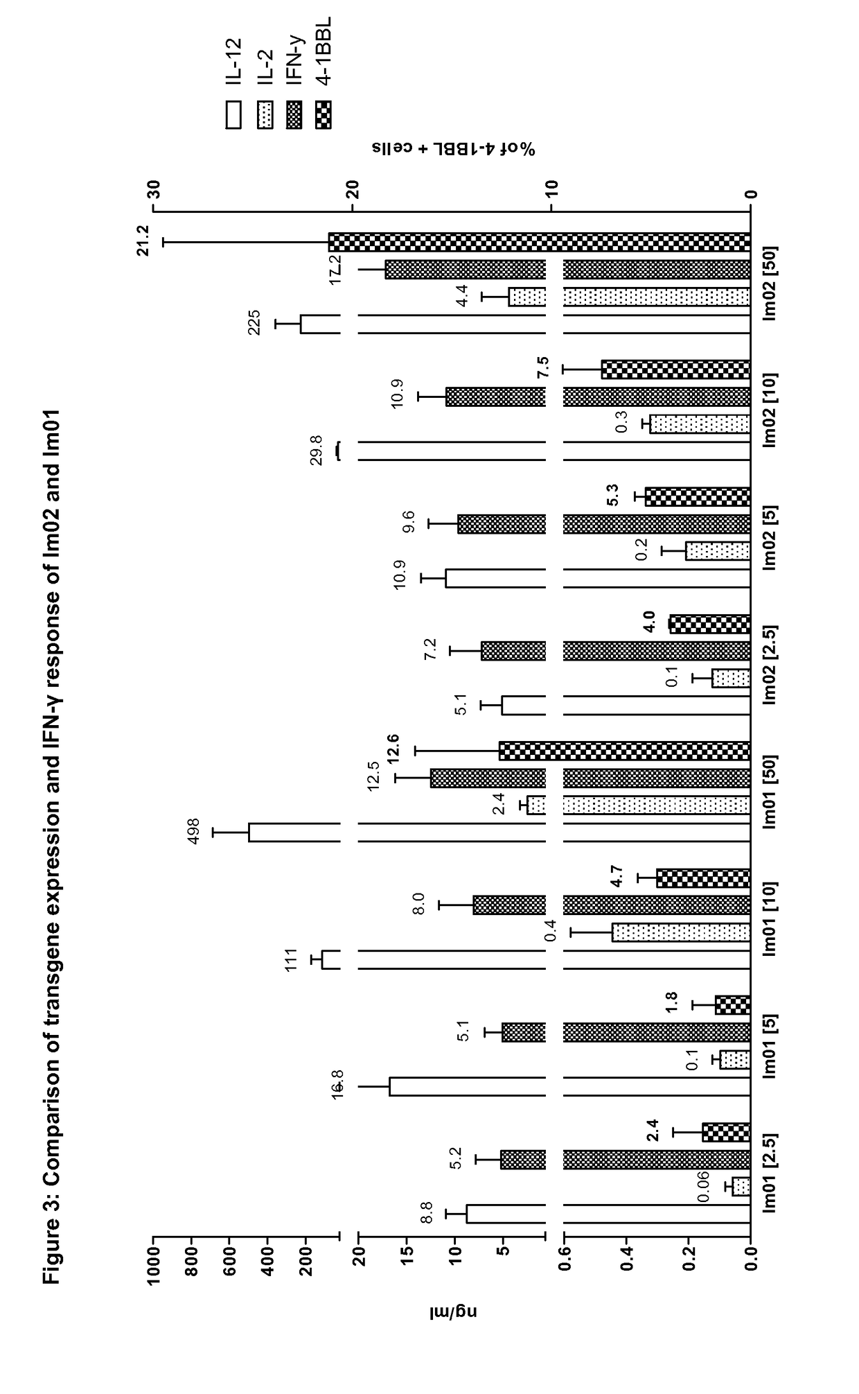 Novel immunostimulating vector system