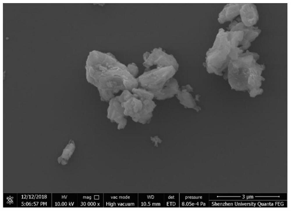 Photo-thermal preparation based on selenium nanosheet, and preparation method and application of photo-thermal preparation