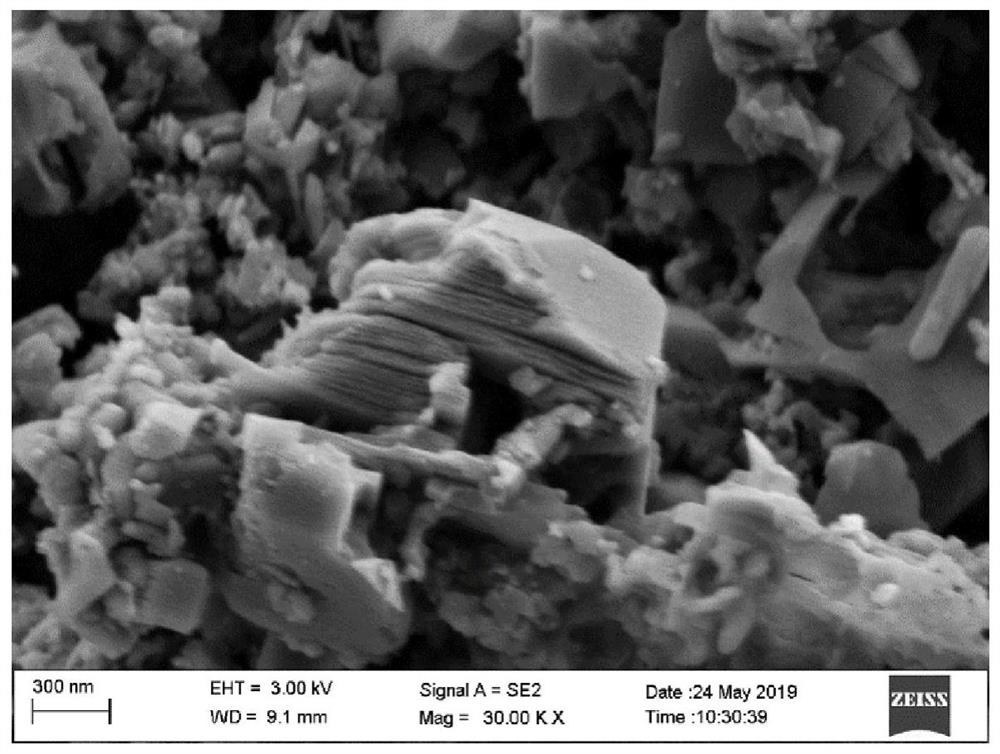 Photo-thermal preparation based on selenium nanosheet, and preparation method and application of photo-thermal preparation