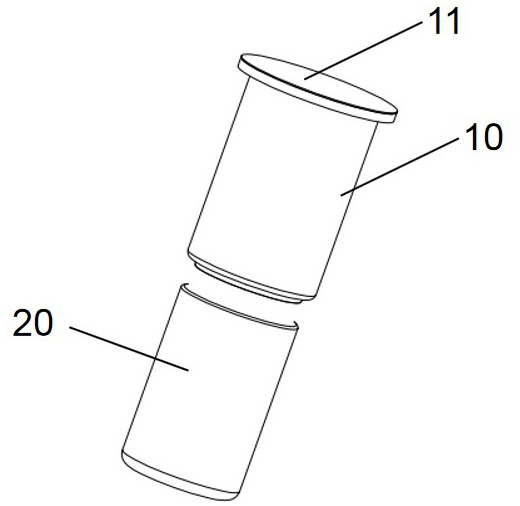 Reagent device and secondary staining method