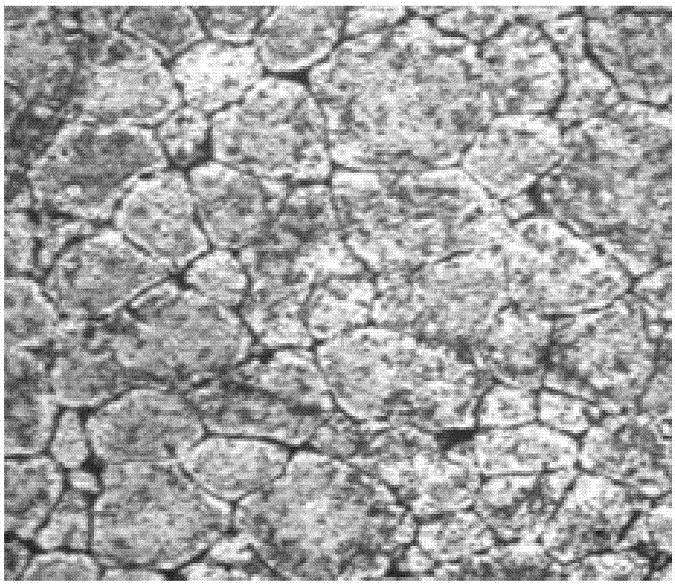 Method for preparing silicon alloy with waste silicon sludge