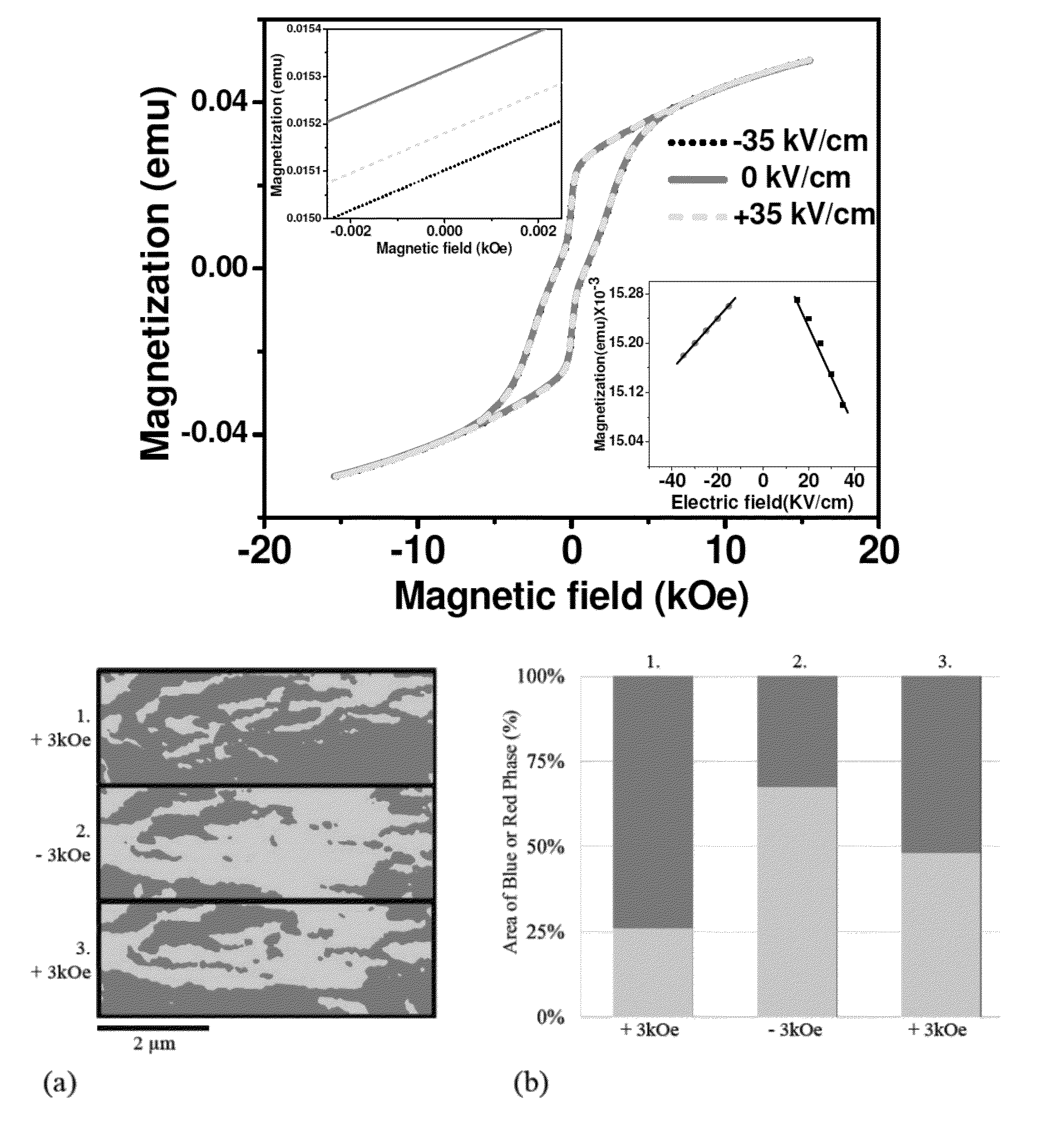 Micro and nanoscale magnetoelectric multiferroic lead iron tantalate-lead zirconate titanate