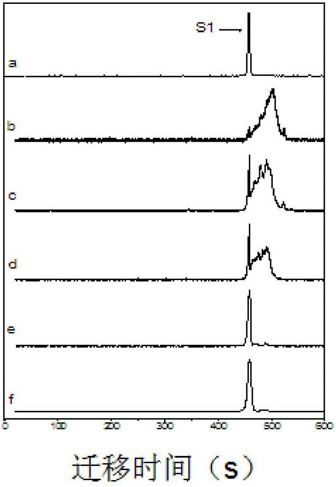 Method for rapidly detecting mismatching quantity of bases through capillary electrophoresis