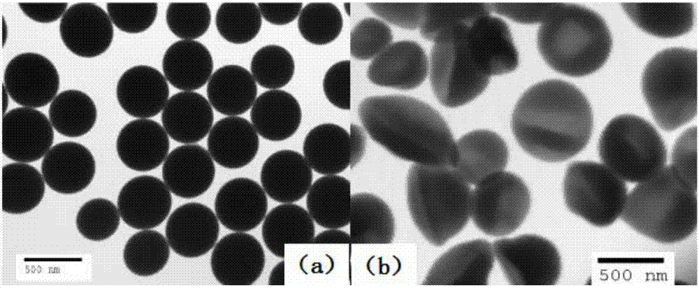 Hydrophilic hollow silicon sphere as well as preparation method and application thereof