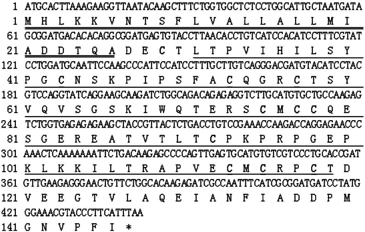 Recombined bursicon protein for facilitating increase of caridina antimicrobial peptide and application thereof