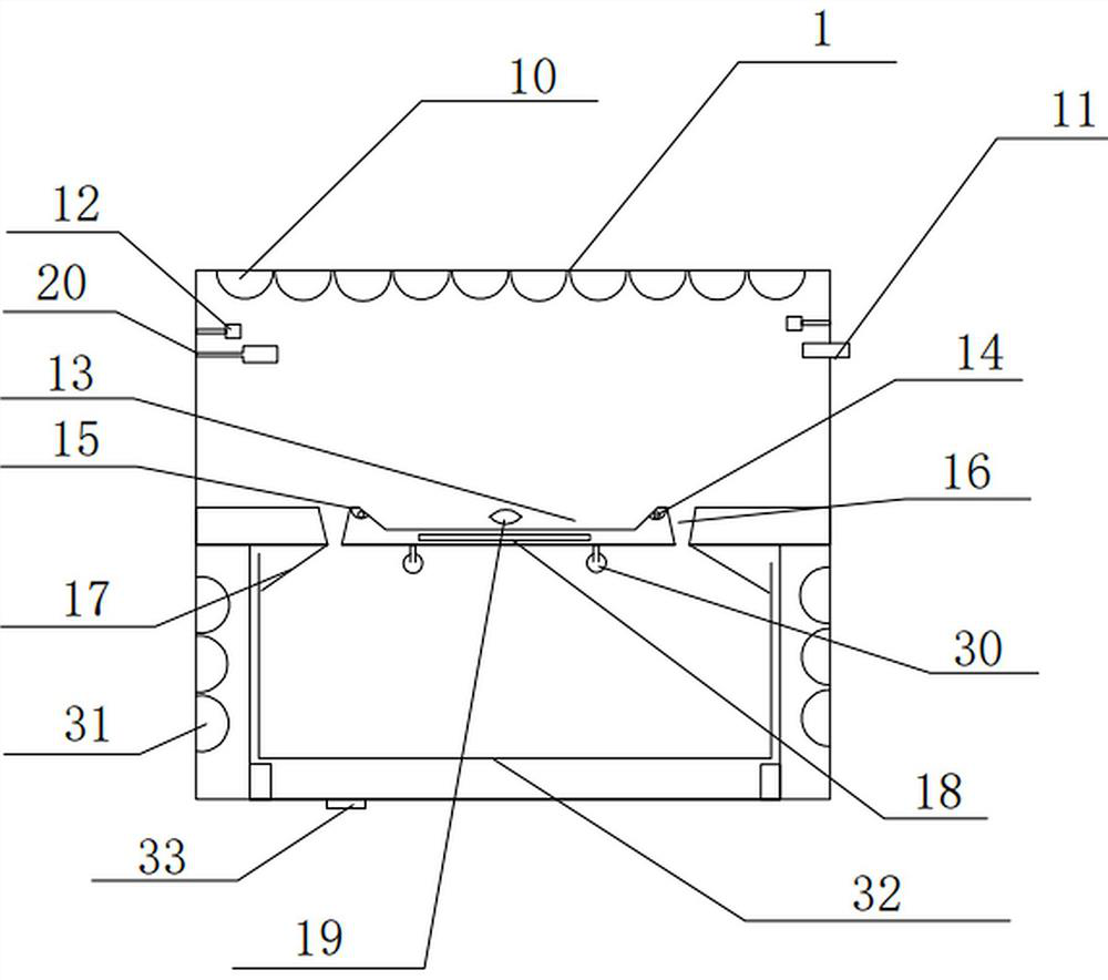 Method for artificially cultivating toad maggots