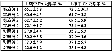 Remediation method of soil polluted by heavy metals