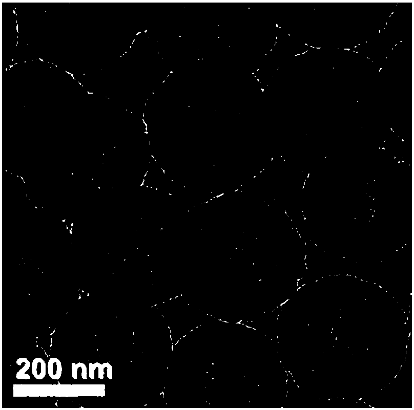 Mie resonance anti-counterfeiting product based on hollow structure blue TiO2 and anti-counterfeiting method of Mie resonance anti-counterfeiting product