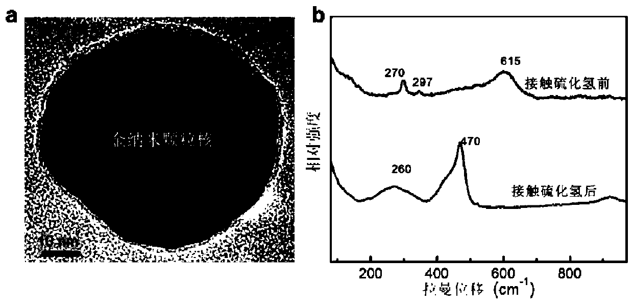 Inorganic sensitive layer based surface enhanced Raman spectrum detection technology and material preparation thereof