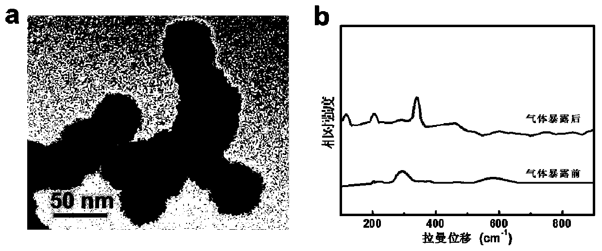 Inorganic sensitive layer based surface enhanced Raman spectrum detection technology and material preparation thereof