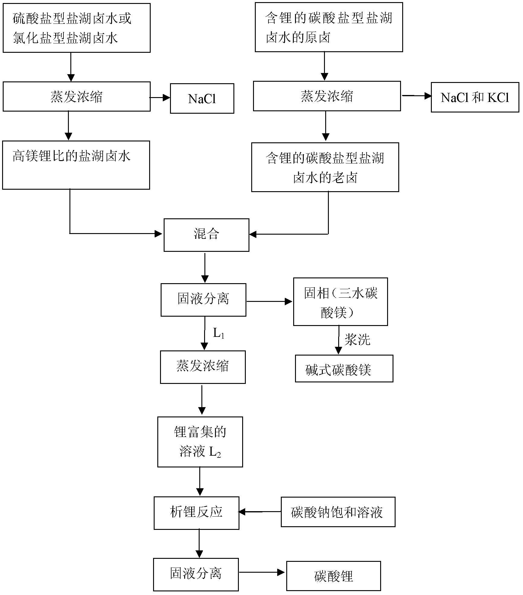 Method for extracting lithium and magnesium from salt lake brine