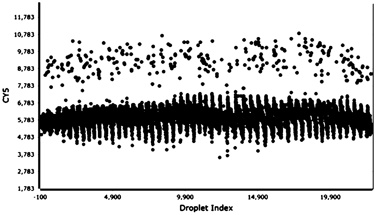 Kit for detecting human herpes virus infection and detection method thereof