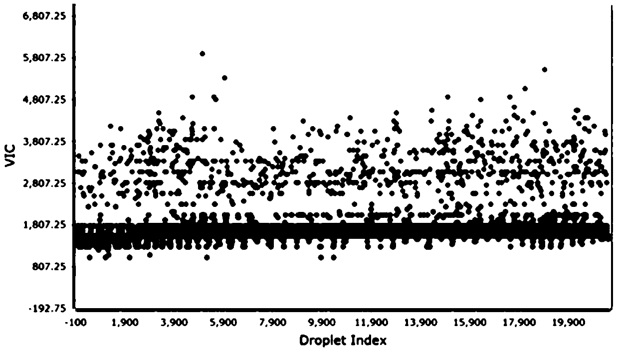 Kit for detecting human herpes virus infection and detection method thereof