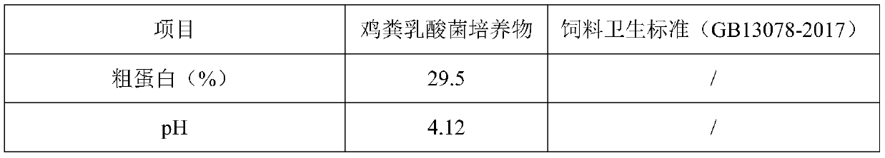 Lactic acid bacteria culture with chicken manure as medium and application